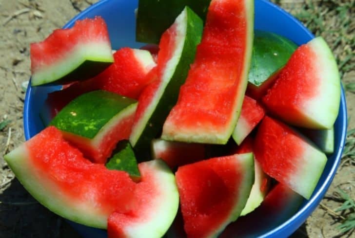 西瓜皮不僅能堆肥還能這么用！